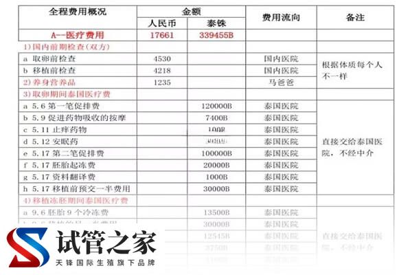赴泰国做试管生一对龙凤胎大概需要多少钱?