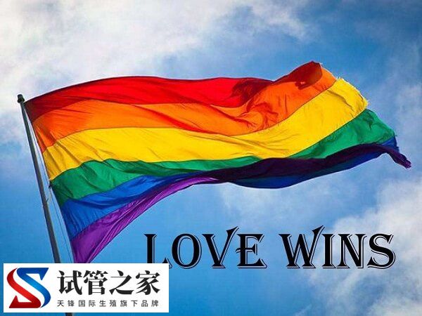 大陆同性可以去台湾登记结婚的条件有哪些？