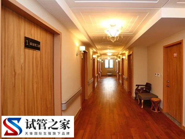 台湾茂盛医院能不能做供卵试管婴儿？