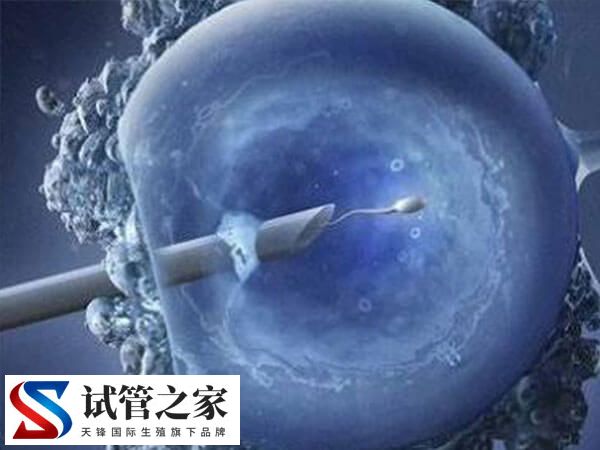 在台湾单身女人做试管需要提供什么条件？