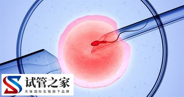 49岁绝经在台湾做供卵试管婴儿成功率有保证吗？