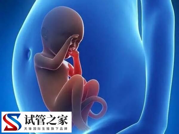 台湾第三代试管可以选择性别吗？