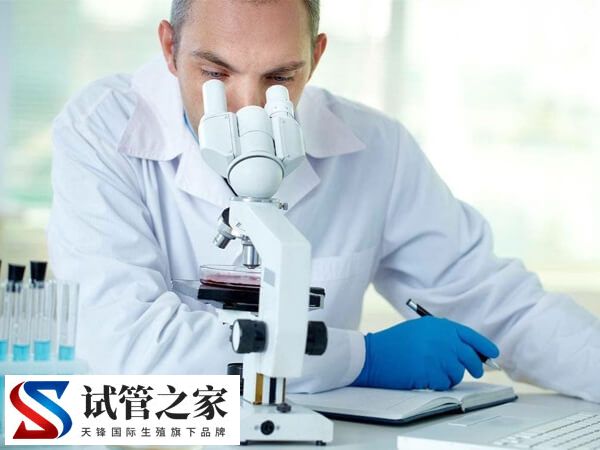 台湾第三代试管婴儿技术成功率怎么样？