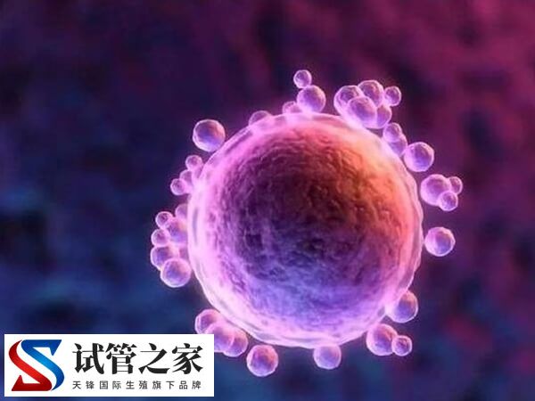 台湾私立医院做供卵试管婴儿合法吗？