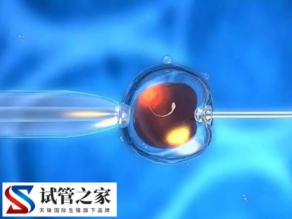 台湾做试管的成功率比内地高吗？