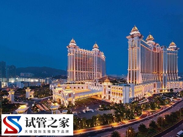 赴香港做试管婴儿是不是必须要准备好港澳通行证才行呢？