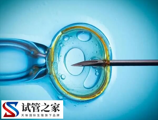 香港单身女性可以不用结婚证去私立医院做试管婴儿吗？