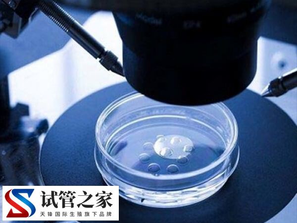 香港试管和美国试管比较，政策、技术、成功率都有不同