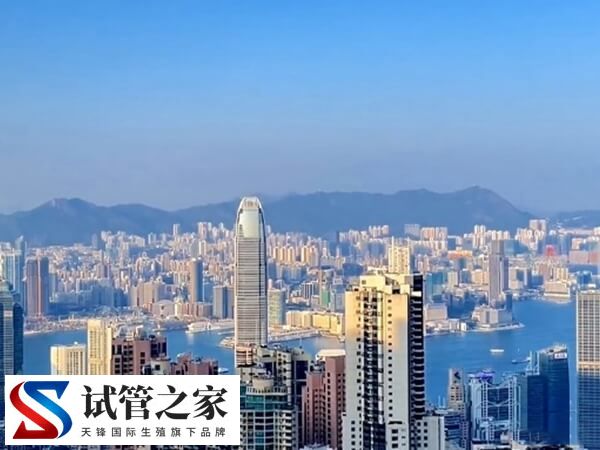 单身女子香港借精生子都是骗局！没有结婚证是不行的