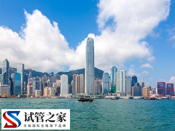 香港做双胞胎试管婴儿费用大约在多少钱？