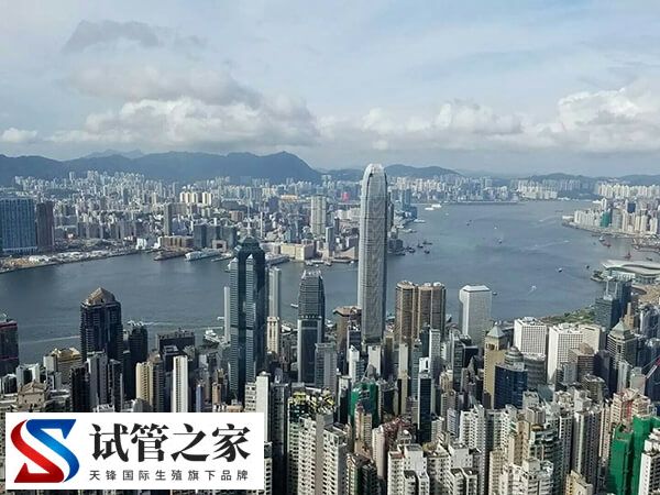 香港高端私立医院做三代试管包生男孩价格多少？