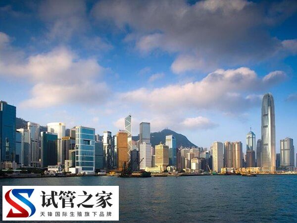 在香港供精怀孕一次大约要花多少钱？