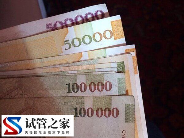 格鲁吉亚三代试管婴儿的费用比国内便宜是真的吗？