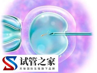 格鲁吉亚做试管的流程是怎么样的？与国内有区别吗？