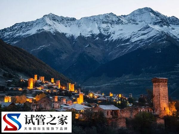 格鲁吉亚生殖中心排名中top5的医院有哪些？
