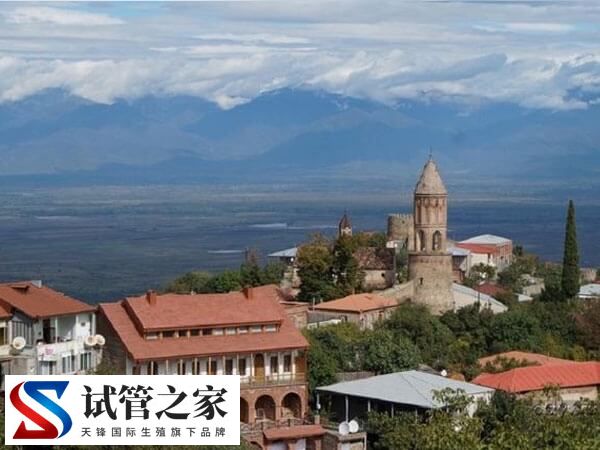 格鲁吉亚助孕机构做试管婴儿生龙凤双胞胎多少钱？