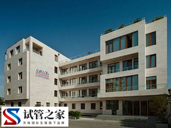 格鲁吉亚试管婴儿医院排名中哪个生殖中心三代技术好？
