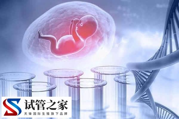马来西亚试管婴儿流程和影响成功的因素是什么？