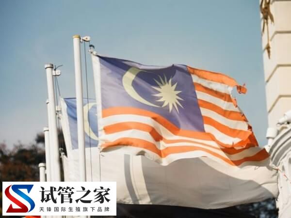 去马来西亚做试管有什么自助攻略可以分享？