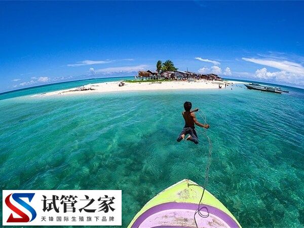 马来西亚试管婴儿最新骗局有哪些？求揭秘曝光