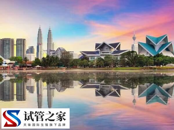 马来西亚的三代试管技术怎么样？和国内比较哪个更好？