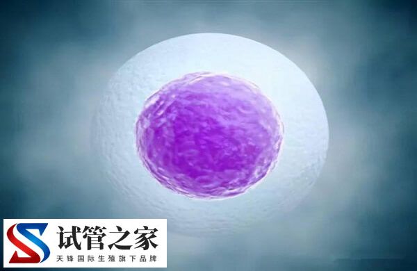 单身女性可以到马来西亚做供精三代试管吗？