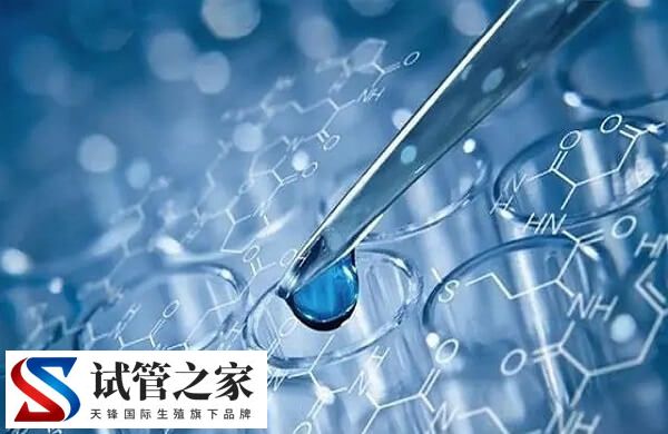 马来西亚生丰医院做第三代试管费用高吗？
