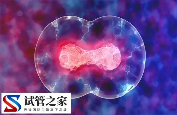 有自助到马来西亚做三代试管成功的吗？求真实经验分享！