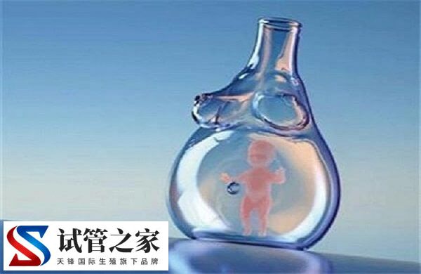 马来西亚试管医院排名前三的有哪些？