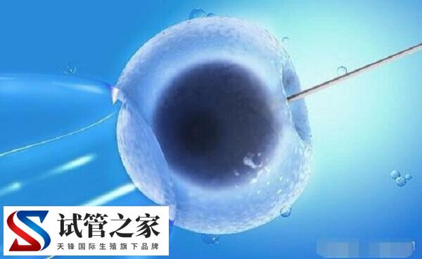 去马来西亚做试管婴儿需要什么证件？