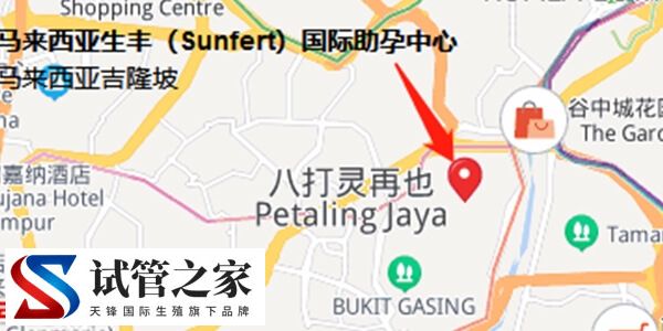 马来西亚生丰医院具体地址在哪里？