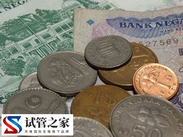 马来西亚试管婴儿做一次试管花费6万够吗？