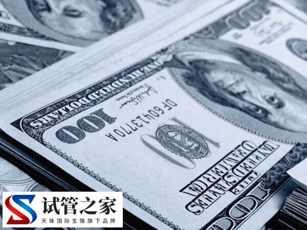 柬埔寨试管6000美元起