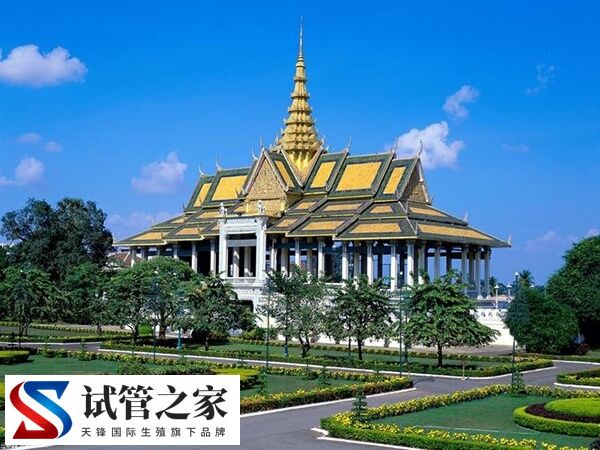 柬埔寨试管技术已经发展了20多年