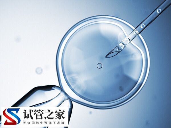 cf744b90e1706d8dcd4b5c58e46ddde8_cpGQ9SBjmh1624172021660.jpg