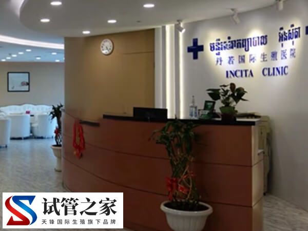 同性恋在柬埔寨做试管是合法的吗？