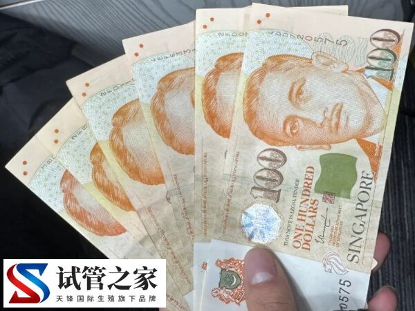 单身女性去新加坡做试管婴儿要花多少新币？