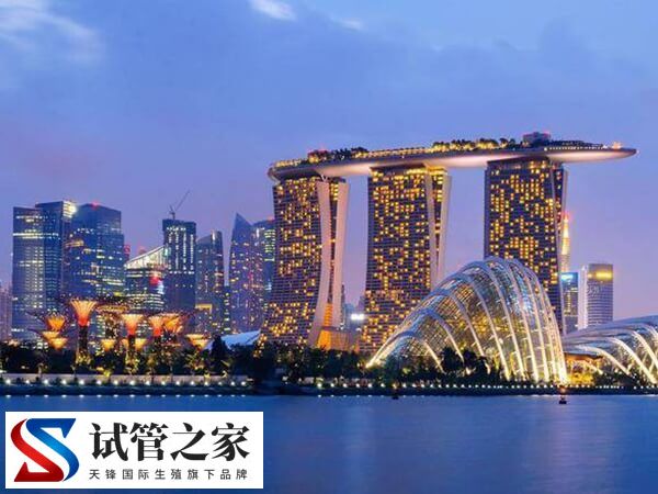 去新加坡做试管婴儿需要准备结婚证吗？