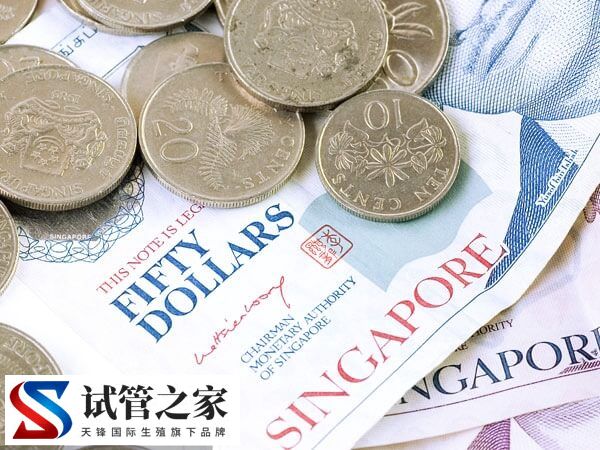 新加坡中央医院的三代试管成功率是多少？