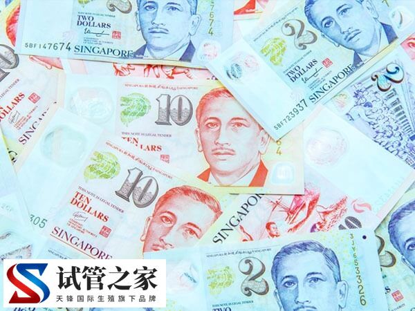 国内单身男女可以去新加坡做供卵或供精试管吗？