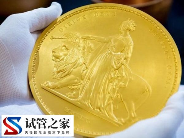新加坡三代试管费用比国内贵不了多少