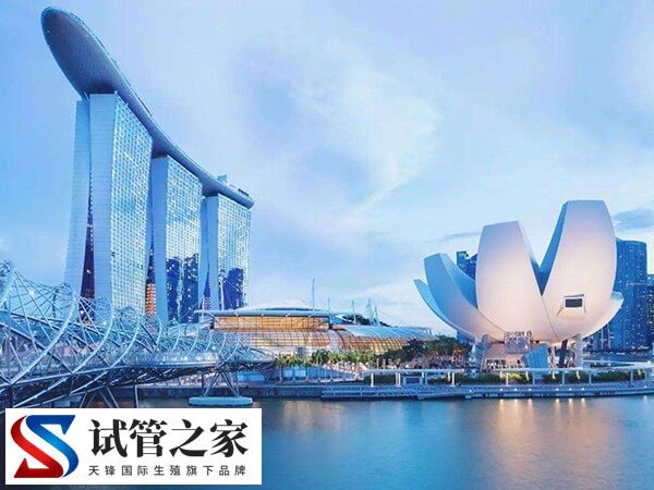 新加坡医疗水平较高